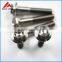 Gr5 titanium screw DIN912/DIN6921 for bicycle and motorcycle