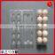 Clear plastic egg tray for egg marketing and promoting                        
                                                Quality Choice