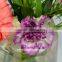 Home Decor Good Quality Carnation Cut Flower Prices Factory Directly Sell Purple Fresh Cut Carnation Flower