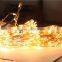 Festival Decorative LED String Lights With Remote Controller
