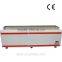 portable commercial deep freezer