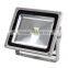 Waterproof Led Flood Light Led COB Reflector COB30W