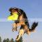 dog play frisbee inflatable pool float flying disc made in china