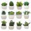 Mini Artificial Succulent Plants for Home Decorating