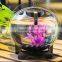 Good lucid fashionable high quality acrylic fish tank factory wholesale