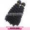 Double weft bohemian jerry curl hair human hair weaving