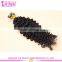 Wholesale Supplier Factory Price U tip Hair Extensions Top Garde Brazilian U Tip Hair