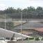 CE certificated galvanized and PVC coated Welded Wire Mesh Fence