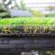 35mm pile height artificial grass landscaping