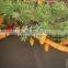 2015 outdoor decoration led cedar tree light