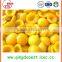 cheap and Taste good canned fruits fresh Canned yellow peach