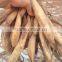 Radix Stemonae Root
