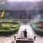 Easy to breed foliage plant Palace Graden Yard Green Landscape