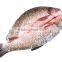 industrial powerful fish belly splitting machine