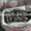 Wholesale price abalone feed, laminaria,strip,kelp cut