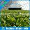 Customized farm use greenhouses for vegetables