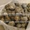 Chinese bee base 50%-60%raw propolis