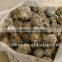 Chinese bee base 50-60%raw propolis