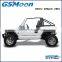 powerfull 800cc dune buggy for sale with EFI engine