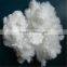 Raw white polyester fiber HCS 7dx64mm fiber for pillow