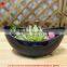 Artificial mini plant potted succulent combination mini succulent