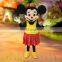 Professional custom mascot costume adult cheap mickey costume