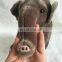 modicate delicate plush grey elephant animal toy