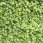 IQF Frozen Celery dice