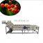 Taizy Bubble type vegetable washing cleaning machine