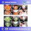 Hot Sale Home Use Electric Meat/Chili/Carrot/Garlic/Ginger Grinder Machine