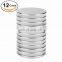 Super Magnet N52 Neodymium Rare Earth NdFeB Permanent