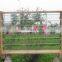 Clear colored patterned sheet or flat float glass 3mm 4mm 5mm 6mm Louver Glass for windows