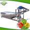 Automatic Air Bubble Fruit Vegetable Washing Machine