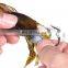 Amazon High Quality 6 Colors Sinking Saltwater Ice Fishing Biats  8cm 19g Soft Crabs  Fishing Lures