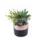 Mini Succulent Plants Cheap Artificial Plants With Pot Set Faux Plant Art For Decoration