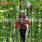 Adventure Park Equipment Outdoor Obstacle Ropes Course