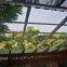 Metal Net, Plant Climbing Frame Net, Protective Net, Wire Rope Net, Patio Protective Net, Interception Net
