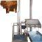 Automatic Cow Slaughterhouse System Hide Puller For Cattle Slaughter Line