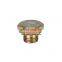 Factory Outlet A7 CNHTC SINOTRUK HOWO A74208013G Engine Parts Q617B18 Hexagon Head Plug
