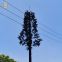 Camouflaged Pole Palm /Pine Micro Cell Tower Bionic Tree Tower