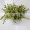 Environmental Artificial Hanging Plant Cheap