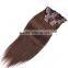 Factory Price 8A Quality Clip in Remy Hair Extension in Stock