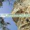 Rockfall barrier-Hexagonal wire mesh