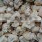 IQF Frozen white cauliflower for sale