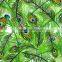 [0.5M/1M Width] TSAUTOP Cartoon Design Peacock Feather Water Transfer Printing Film Hydro Printing Film Hydrographic Film P225