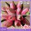 PU Mini Tulip Artificial Flowers for Wedding Decoration Party decor
