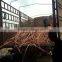 In sale 99.99% copper scrap / copper wire for sale