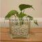 wholesale clear square glass vase , vase glass ,glass flower vases