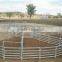cattle panel cattle crush loading ramp