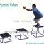 T Style Plyometric Platform